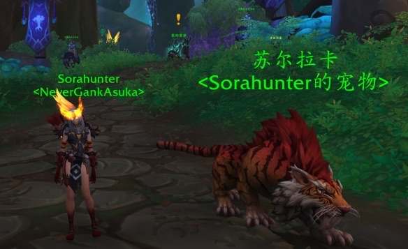 网络配图 网络配图