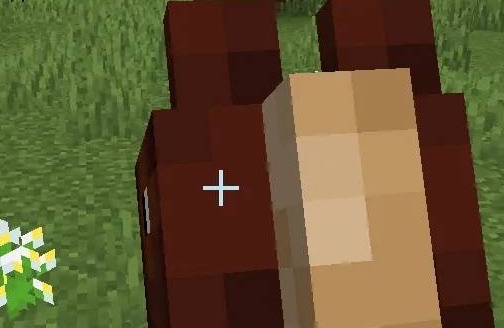 网络配图 网络配图