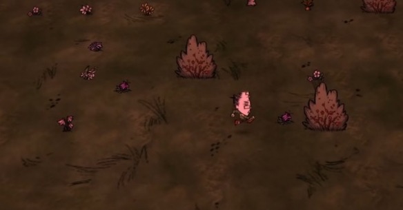 网络配图 网络配图