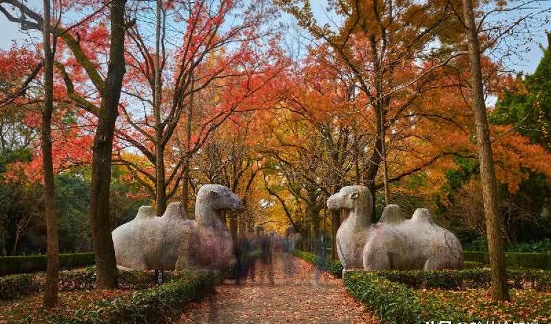 网络配图 网络配图