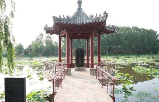 网络图片(侵删) 网络图片(侵删)