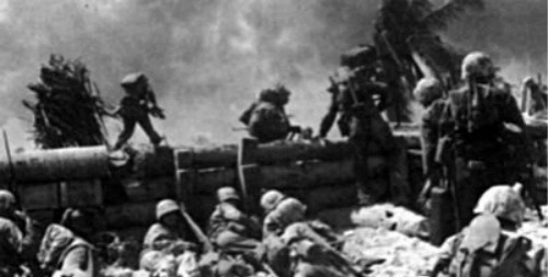 网络图片(侵删) 网络图片(侵删)