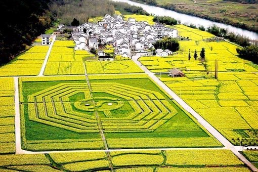 网络图片(侵删) 网络图片(侵删)