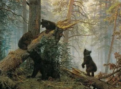 网络配图 网络配图