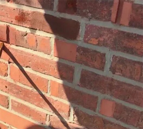 网络图片(侵删) 网络图片(侵删)