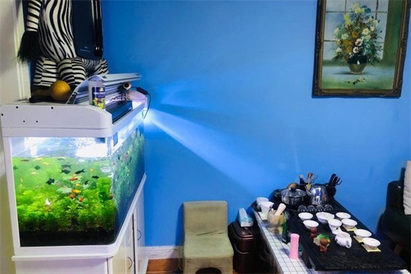 网络配图 网络配图