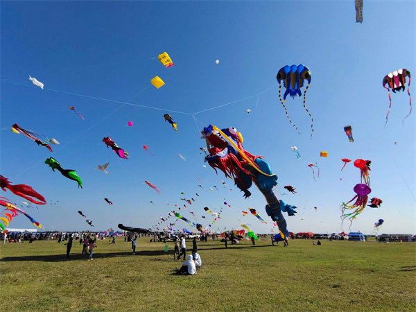 网络图片(侵删) 网络图片(侵删)