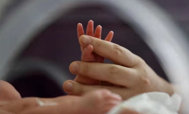 网络图片(侵删) 网络图片(侵删)