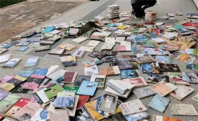 网络图片(侵删) 网络图片(侵删)