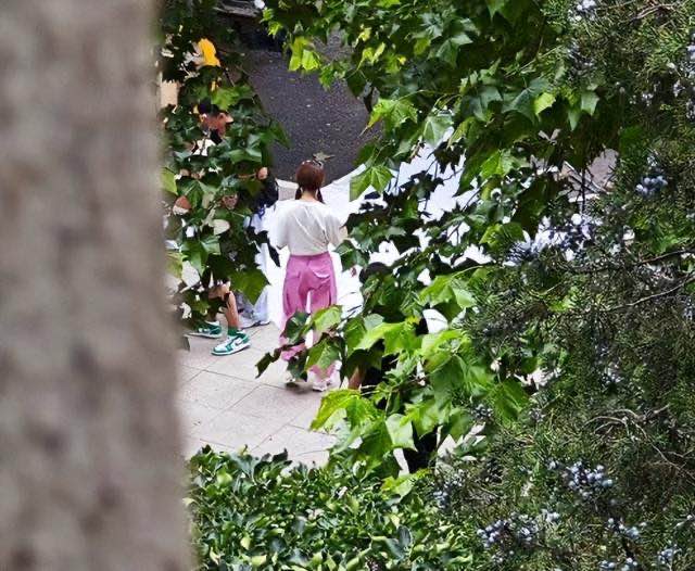 网络图片(侵删) 网络图片(侵删)