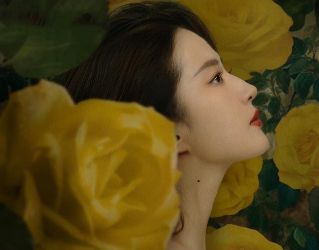 网络图片(侵删) 网络图片(侵删)