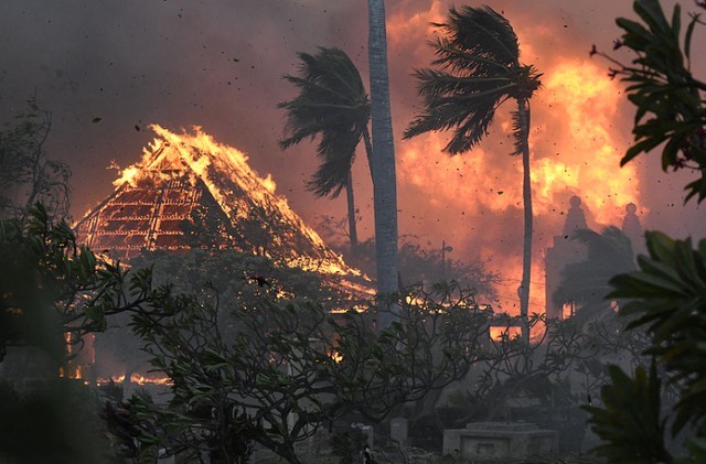 网络配图 网络配图