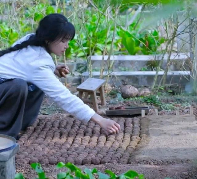 网络配图 网络配图