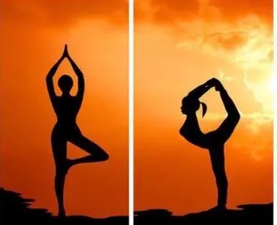 网络图片(侵删) 网络图片(侵删)