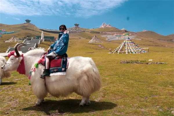 网络图片(侵删) 网络图片(侵删)