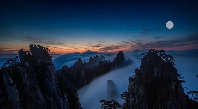 网络图片(侵删) 网络图片(侵删)