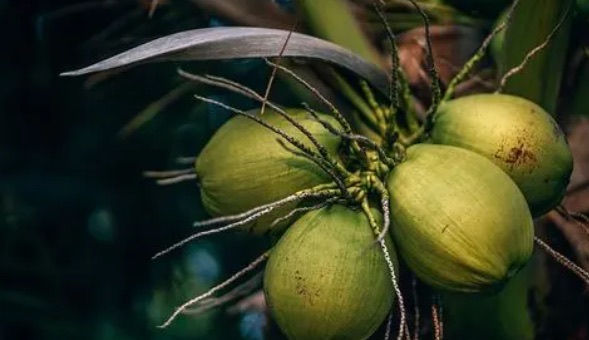 网络图片(侵删) 网络图片(侵删)