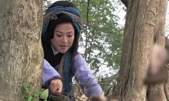 网络图片(侵删) 网络图片(侵删)