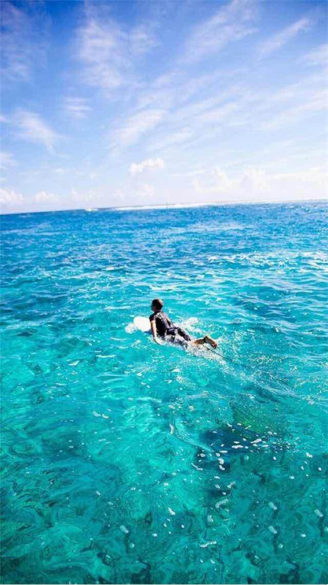 网络图片(侵删) 网络图片(侵删)