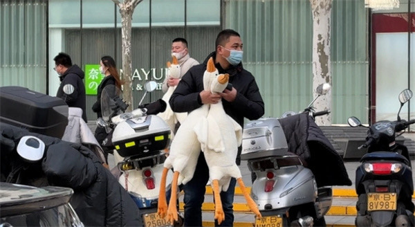 网络图片(侵删) 网络图片(侵删)