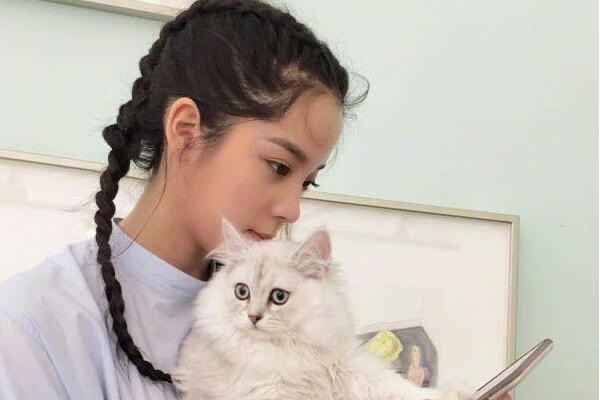 网络图片(侵删) 网络图片(侵删)