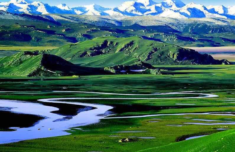 网络图片(侵删) 网络图片(侵删)