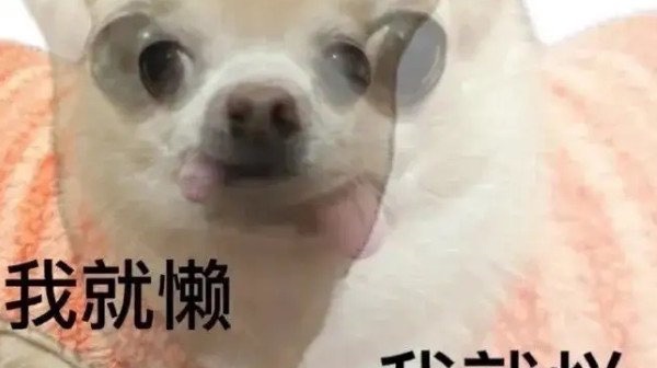 网络图片(侵删) 网络图片(侵删)