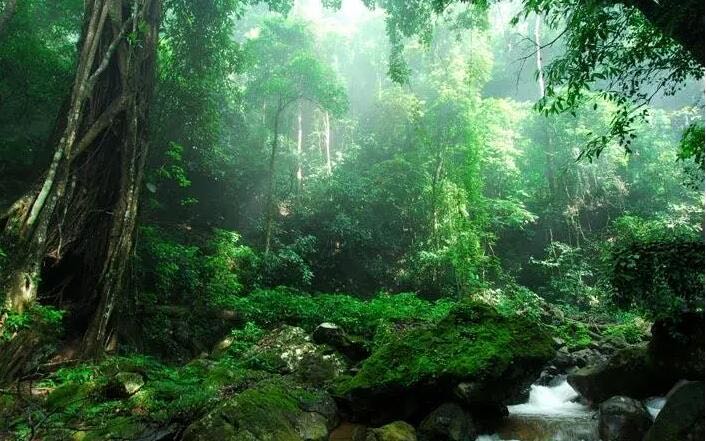 网络图片(侵删) 网络图片(侵删)