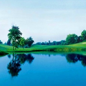 网络图片(侵删) 网络图片(侵删)