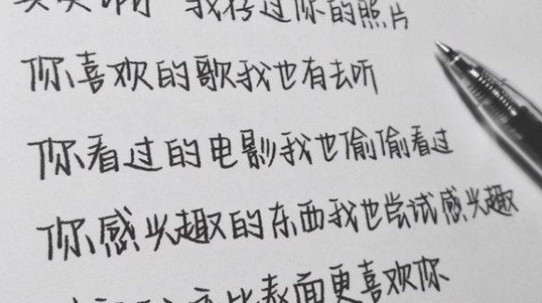 网络图片(侵删) 网络图片(侵删)