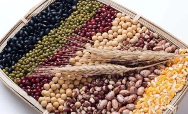 网络图片(侵删) 网络图片(侵删)