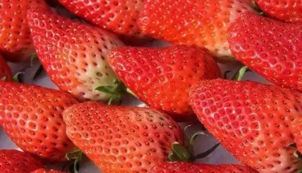 网络图片(侵删) 网络图片(侵删)