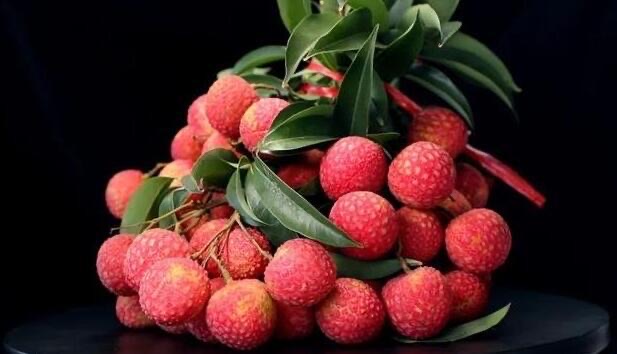 网络图片(侵删) 网络图片(侵删)