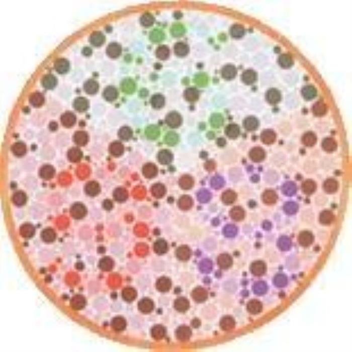 网络图片(侵删) 网络图片(侵删)