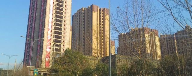 网络图片(侵删) 网络图片(侵删)