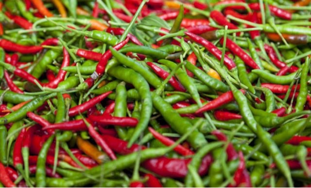 网络图片(侵删) 网络图片(侵删)