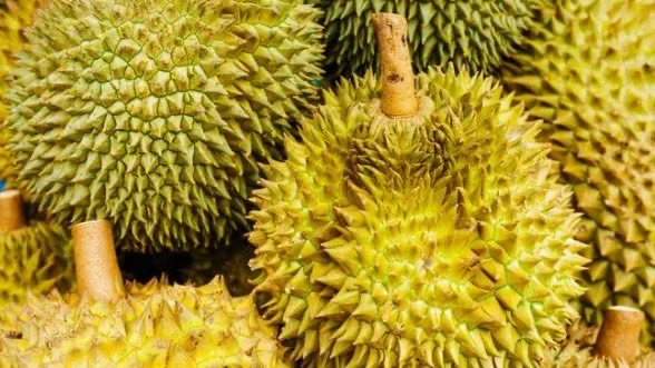 网络图片(侵删) 网络图片(侵删)