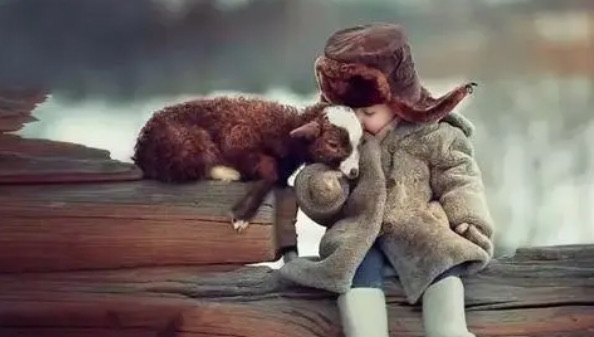 网络图片(侵删) 网络图片(侵删)