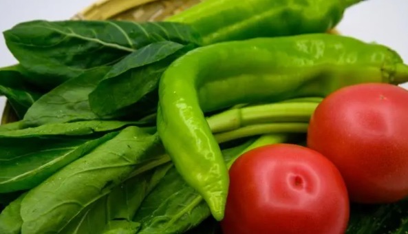 网络图片(侵删) 网络图片(侵删)