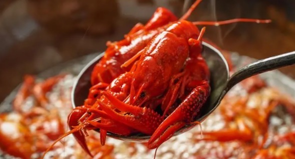 网络图片(侵删) 网络图片(侵删)