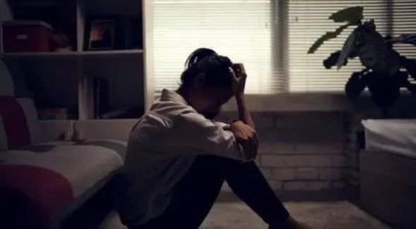 网络图片(侵删) 网络图片(侵删)