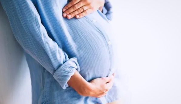 网络图片(侵删) 网络图片(侵删)