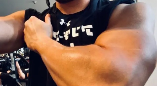 网络图片(侵删) 网络图片(侵删)