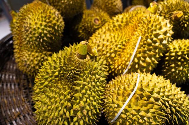 网络图片(侵删) 网络图片(侵删)