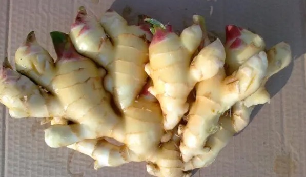 网络图片(侵删) 网络图片(侵删)