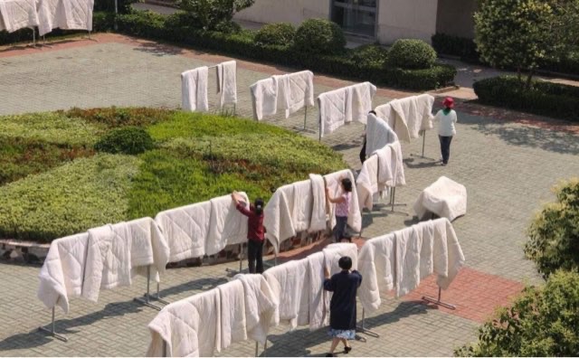 网络图片(侵删) 网络图片(侵删)