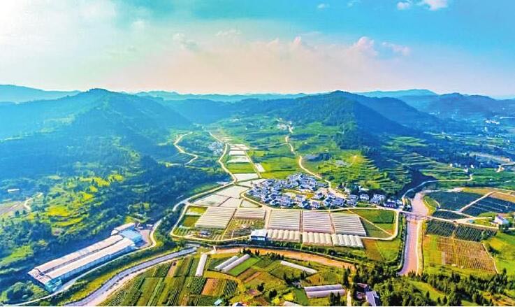 网络图片(侵删) 网络图片(侵删)