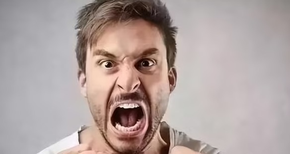 网络图片(侵删) 网络图片(侵删)