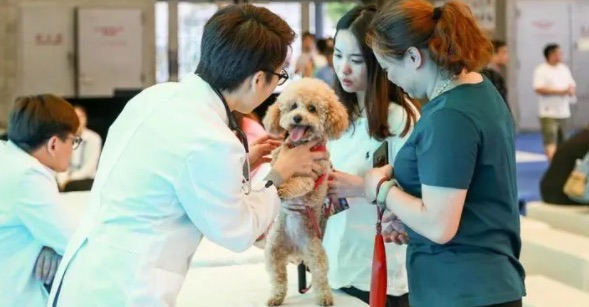 网络图片(侵删) 网络图片(侵删)