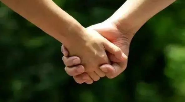 网络图片(侵删) 网络图片(侵删)